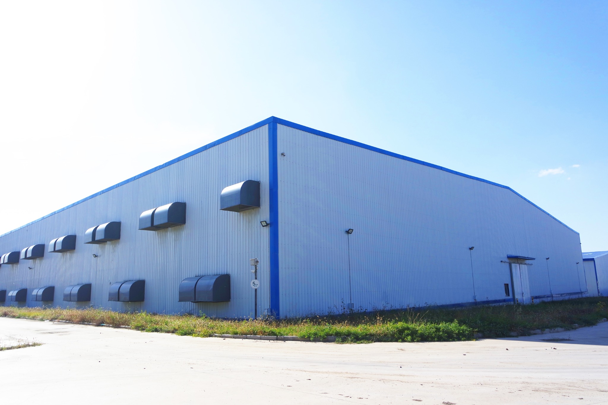Real production conditions help buyers understand the supply foundation