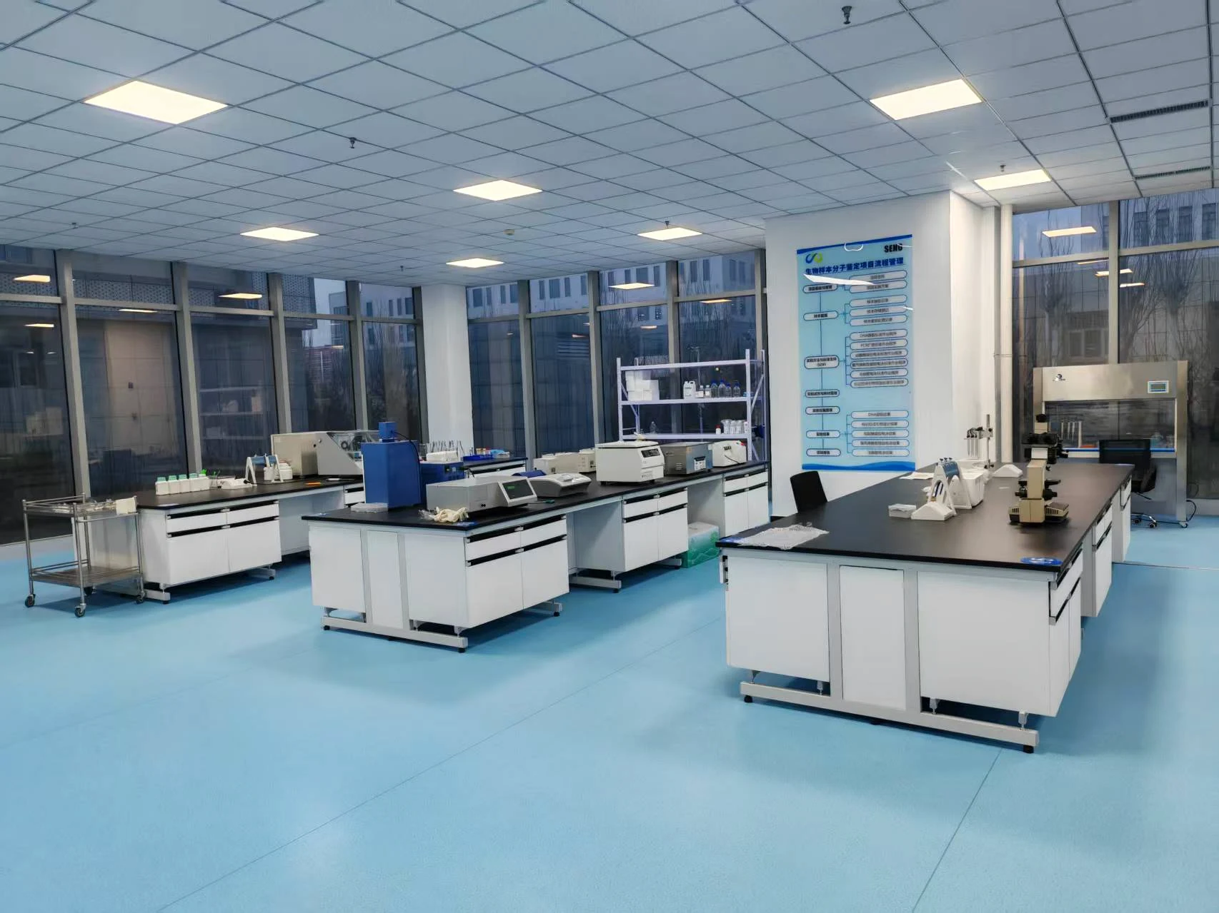 Laboratory quality review for potato flakes, potato granules and dehydrated potato ingredients