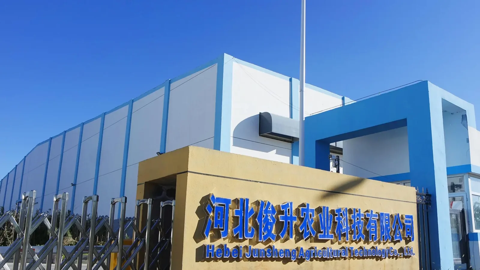 A Potato Ingredient Supply Partner for Food Manufacturers and Import Buyers